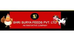 Software Company in Chhattisgarh